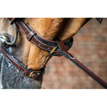 Vork van vaste martingaal D Collectie van Dy'on Bruin Vork van vaste martingaal D Collectie van Dy'on Bruin