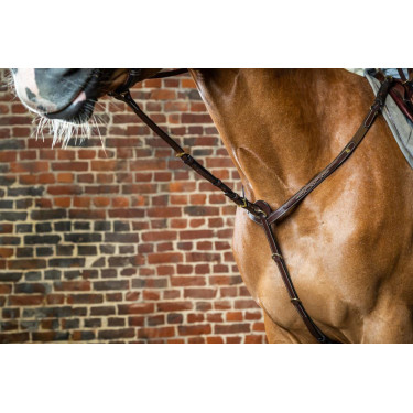 Vork van vaste martingaal D Collectie van Dy'on Bruin Vork van vaste martingaal D Collectie van Dy'on Bruin