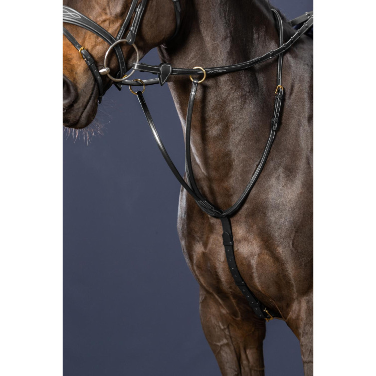 Martingale A Anneaux D Collection by Dy'on Martingale A Anneaux D Collection by Dy'on