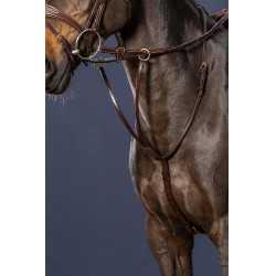 Martingaal Met Ringen D Collectie van Dy'on Bruin