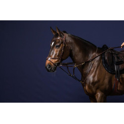 Vork Howlett D Collectie van Dy'on Vork Howlett D Collectie van Dy'on