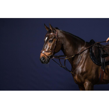 Vork Howlett D Collectie van Dy'on Vork Howlett D Collectie van Dy'on