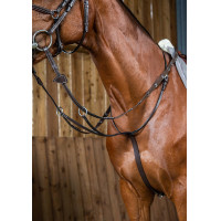 Martingaal Met Ringen Working By Dy'on Bruin Martingaal Met Ringen Working By Dy'on Bruin