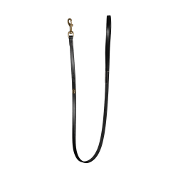 Laisse Pour Chien Classique Dy'on Noir