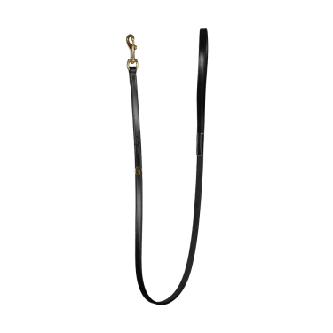 Laisse Pour Chien Classique Dy'on Noir Laisse Pour Chien Classique Dy'on Noir