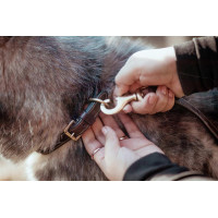 Klassieke Hondenriem Dy'on Bruin