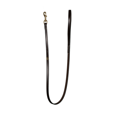 Klassieke Hondenriem Dy'on Bruin