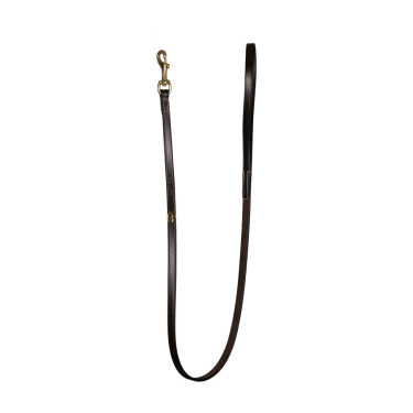 Laisse Pour Chien Classique Dy'on Brun Marron