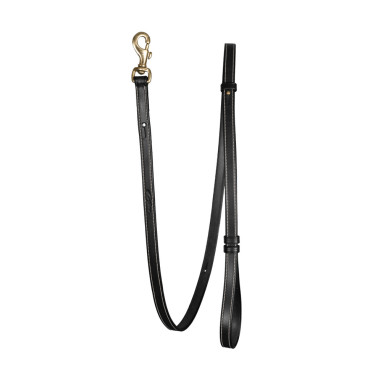 Laisse Pour Chien Ajustable Dy'on Noir