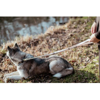 Laisse Pour Chien Ajustable Dy'on Brun Marron