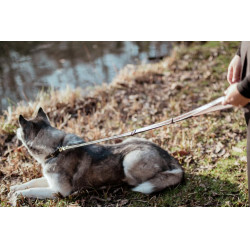 Laisse Pour Chien Ajustable Dy'on Brun Marron