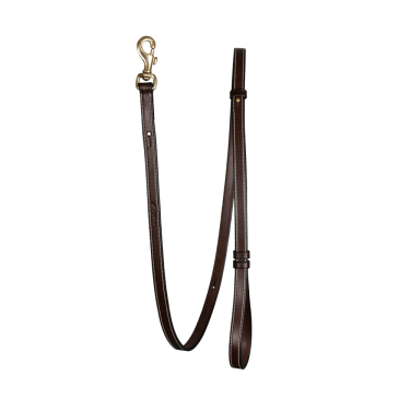 Laisse Pour Chien Ajustable Dy'on Brun Marron