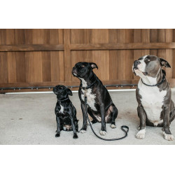 Gevlochten hondenriem Dy'on Zwart