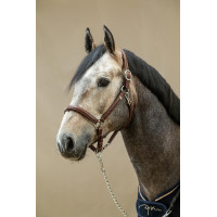 Licol Cuir Extra Souple Working By Dy'on Brun Marron