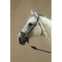 Licol De Pansage Working By Dy'on Brun