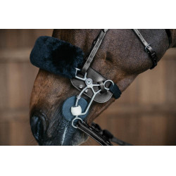 Bescherming van Hackamore Dy'on Zwart