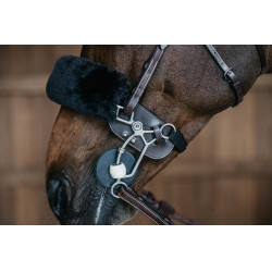 Bescherming van Hackamore Dy'on Bescherming van Hackamore Dy'on