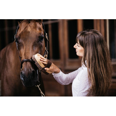 Zachte borstel met zachte haren Grooming Deluxe by Kentucky Zachte borstel met zachte haren Grooming Deluxe by Kentucky