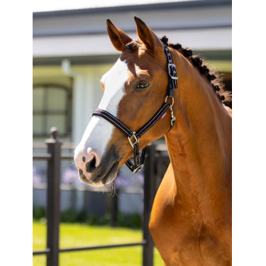 Licol en néoprène LeMieux Essential Yard Noir