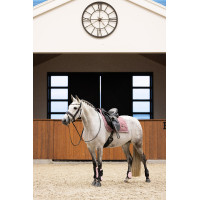 Kogelbeschermers Imperial Riding Lovely Wit