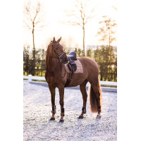 Kogelbeschermers Imperial Riding Lovely Cappuccino Bruin