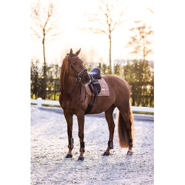 Protège-boulets Imperial Riding Lovely Cappuccino Marron