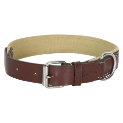 Collier de chien HV Polo Iconic