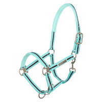 Licol HV Polo Classic Stripe Violet