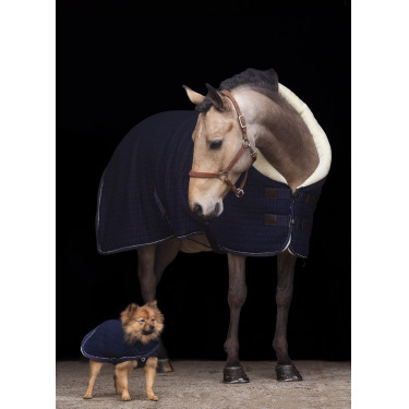 Couverture d'écurie HV Polo Franka Couverture d'écurie HV Polo Franka