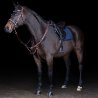 Martingaal HV Polo Legacy Bruin