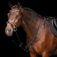 Martingale HV Polo Legacy Marron Martingale HV Polo Legacy Marron