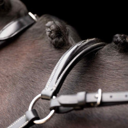 Martingale HV Polo Legacy Noir Martingale HV Polo Legacy Noir