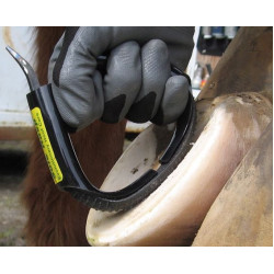 Bar & Sole Rasps Pro