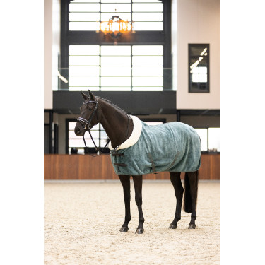 Imperial Riding Ambient Galaxy polar fleece deken Saliegroen