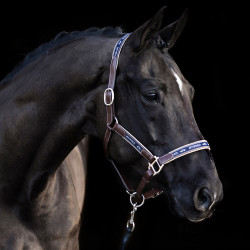 Halster HV Polo Iconic Halster HV Polo Iconic
