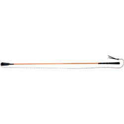 Stick éthologique Whip & Go