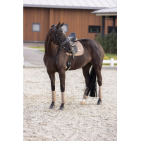 Tapis de selle Imperial Riding Sky DR Cappuccino Marron Tapis de selle Imperial Riding Sky DR Cappuccino Marron
