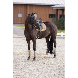 Tapis de selle Imperial Riding Sky DR Cappuccino Marron Tapis de selle Imperial Riding Sky DR Cappuccino Marron