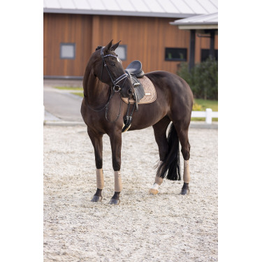 Zadeldek Imperial Riding Sky DR Cappuccino Bruin