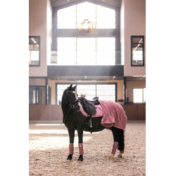 Bandes de polo Imperial Riding Cosmic Sparkle Rose chic Bandes de polo Imperial Riding Cosmic Sparkle Rose chic