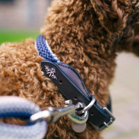 Halsband voor hond HV Polo Franka Rope Marine / roze Blauw