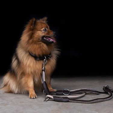 Halsband voor hond HV Polo Franka Rope Bruin / beige Halsband voor hond HV Polo Franka Rope Bruin / beige