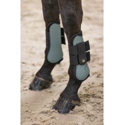 Guêtres Imperial Riding Lovely Vert sauge