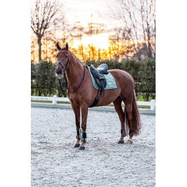 Imperial Riding Lovely beenkappen Saliegroen Imperial Riding Lovely beenkappen Saliegroen