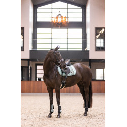 Guêtres Imperial Riding Lovely Vert sauge