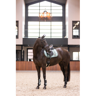 Guêtres Imperial Riding Lovely Vert sauge