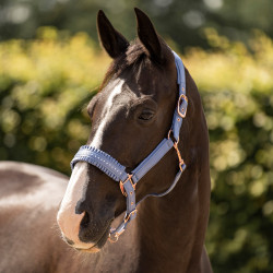 Halster Imperial Riding Lovely Halster Imperial Riding Lovely