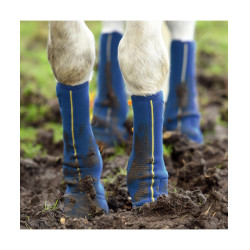 Guêtres Close contact chaps Equilibrium Bleu marine Guêtres Close contact chaps Equilibrium Bleu marine
