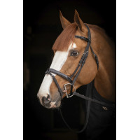 Birdon Oxford Prestatie Pénélope Zwart