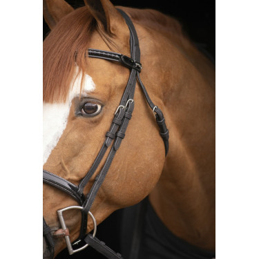 Birdon Oxford Prestatie Pénélope Birdon Oxford Prestatie Pénélope